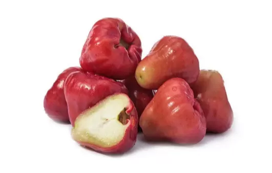 莲雾碰伤还可以吃吗