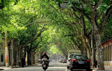 上海今年热到什么时候2022