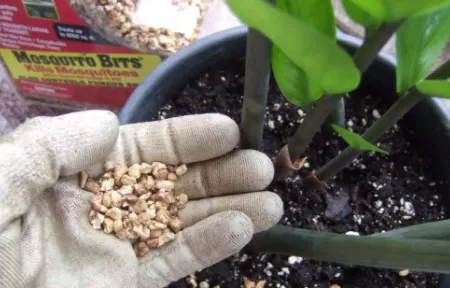 植物烂根后的土壤还能用吗3