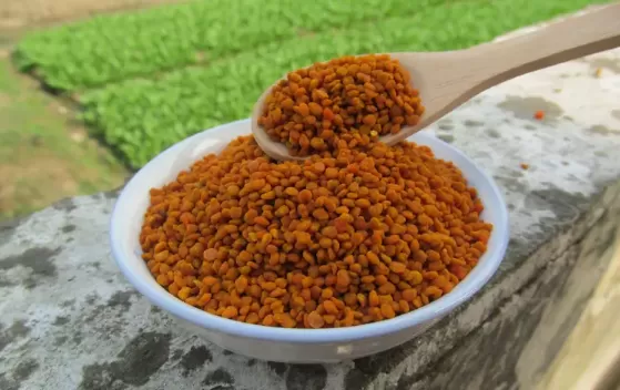 蜂花粉怎么吃效果好