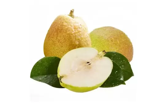 莲雾和梨哪个止咳效果好