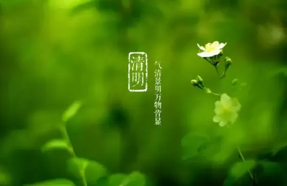 清明节上坟在哪边挖土