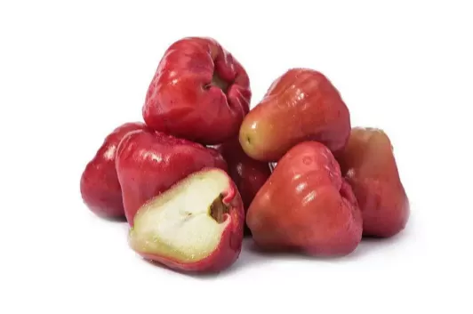 莲雾和腰果是长在一起的吗