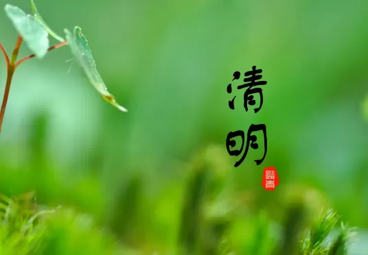 清明节上坟是先上老坟还是先上新坟