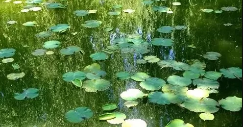 成都五月能穿短袖吗