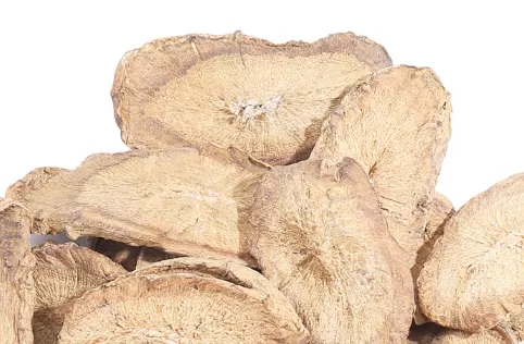 牛蒡茶价格多少钱一斤