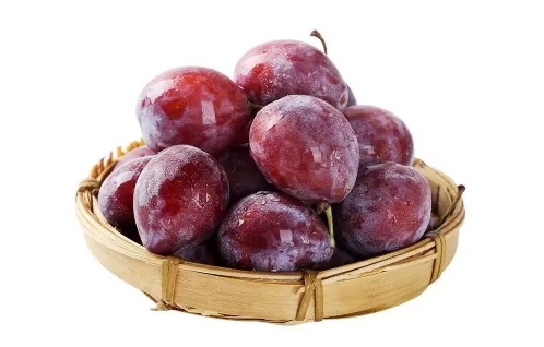 西梅里面有虫子能吃坏人吗