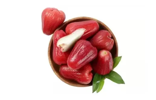 莲雾和无花果一样吗