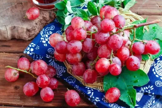 葡萄表面的白霜是酵母菌吗