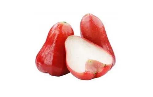 莲雾和梨哪个止咳效果好