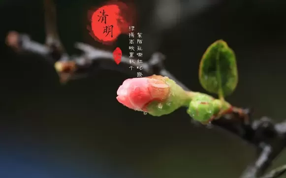 2022清明节立碑哪天最合适1