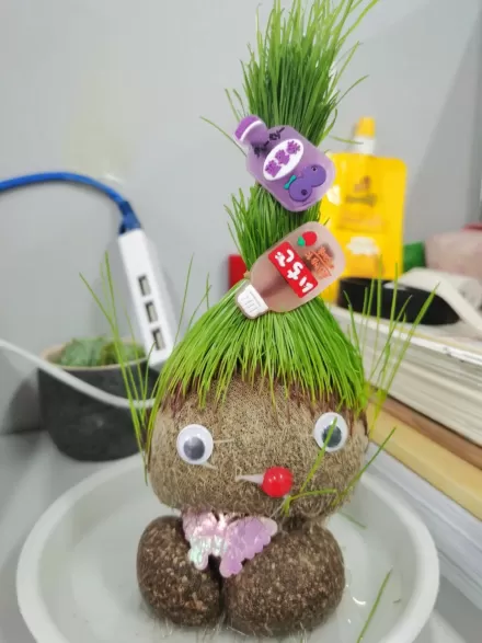 草头娃娃修剪成什么样好看