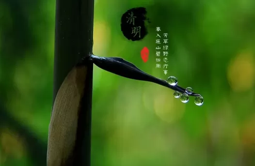 清明节上坟是先上老坟还是先上新坟