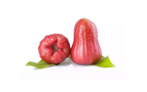 莲雾碰伤还可以吃吗