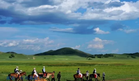 内蒙古4月有草了吗20223