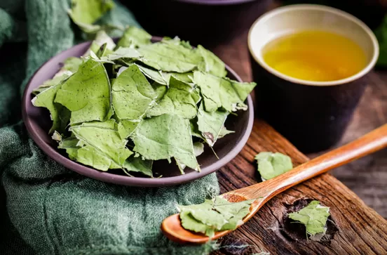 尿酸高吃什么最好最降得快