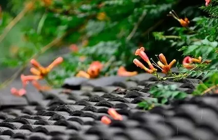 杭州有梅雨天气吗