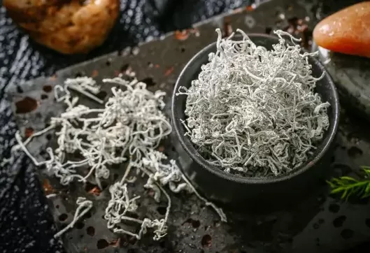 莓茶儿童能喝吗