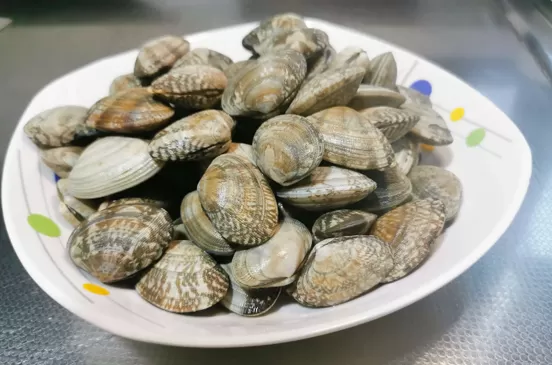 花蛤当天不吃如何保存