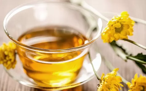 自己摘的桂花可以泡茶吗