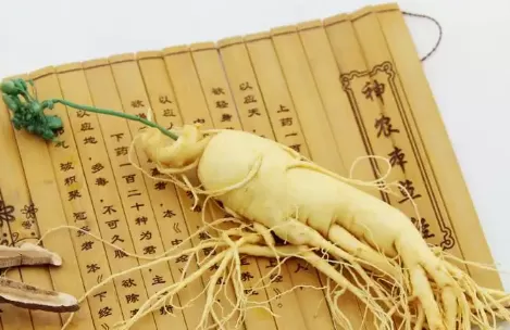 人参皂苷普通人可以吃吗