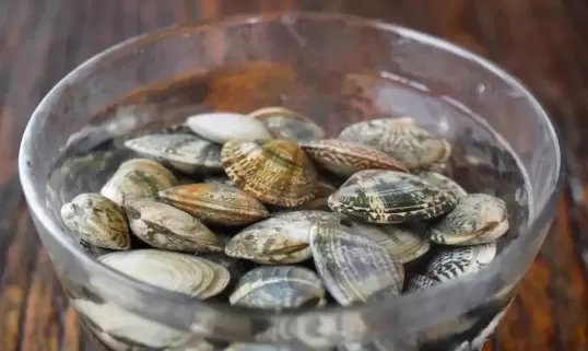 花蛤放了一夜吐舌头能吃吗