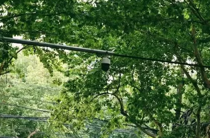 上海今年热到什么时候2022