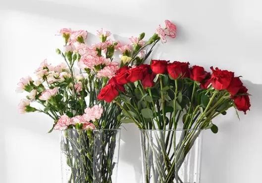 醒花不能超过几个小时