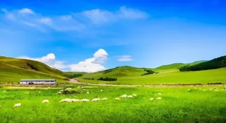 内蒙古4月有草了吗20222