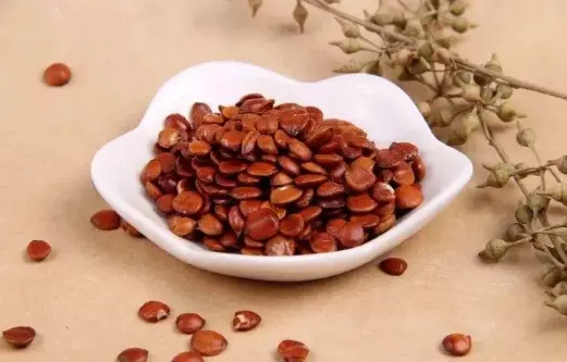 酸枣仁怎样吃治失眠最有效