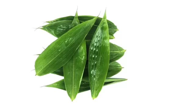 粽子叶哪边是正哪边是反