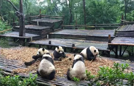 成都今年几月份开始热起来