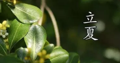 立夏过后多久才会热