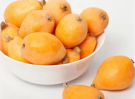 枇杷和什么一起煮止咳效果好