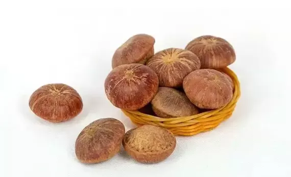 壮阳果是吃壳还是果肉