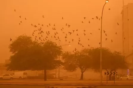 2022五一北京会有沙尘暴吗1