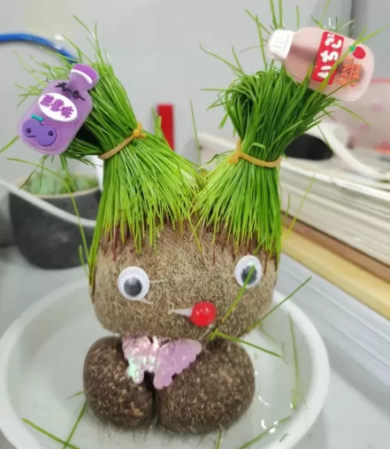 草头娃娃修剪成什么样好看