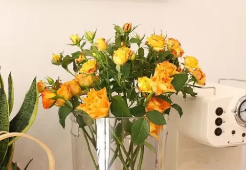 醒花的水可以用自来水烧熟晾凉使用吗2