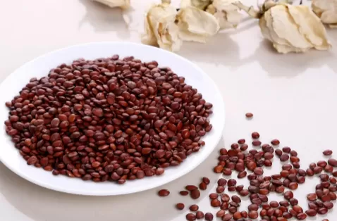 酸枣仁怎样吃治失眠最有效