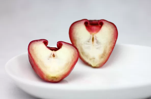 莲雾和西瓜哪个水分多