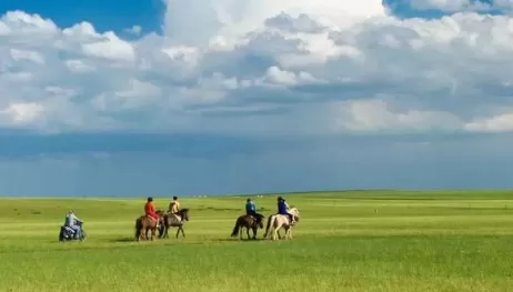 内蒙古4月有草了吗20221