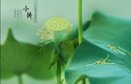 小暑是几月几日星期几