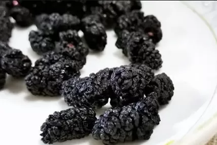 桑葚干放了两年还能不能吃2