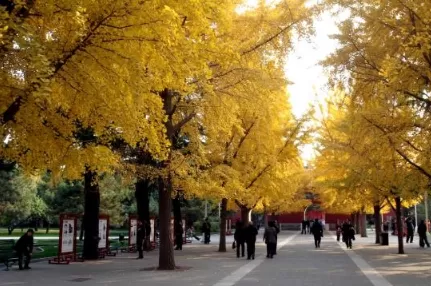 北京高温天气有几个月