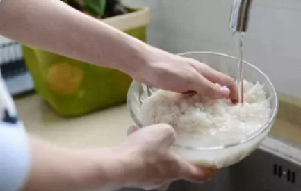 淘米水发酵是什么肥料