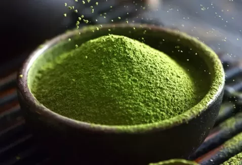 抹茶粉和绿茶粉哪个减肥效果好
