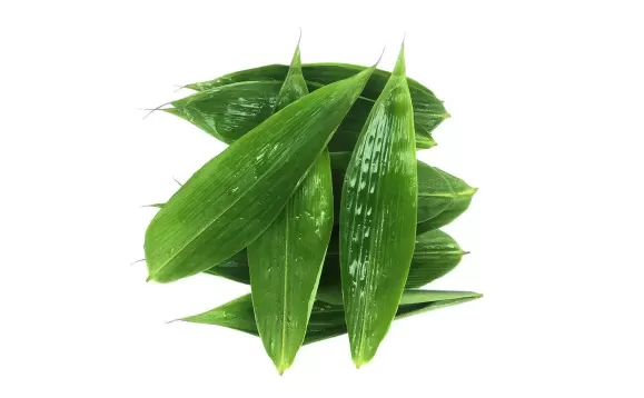 粽叶是薄的好还是厚一点的比较好