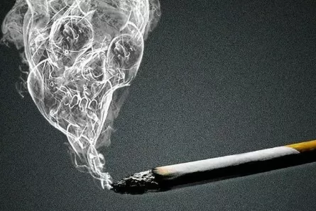 玉溪多少钱一盒