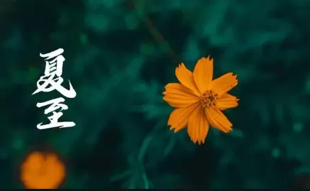 夏至是一年中白天最长的一天吗2022