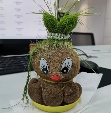 草头娃娃修剪成什么样好看